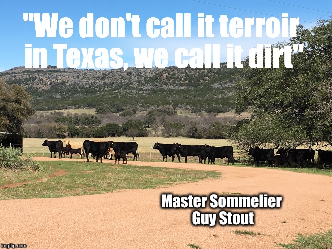 Texas Terroir | "We don't call it terroir in Texas, we call it dirt"; Master Sommelier Guy Stout | image tagged in texaswine | made w/ Imgflip meme maker