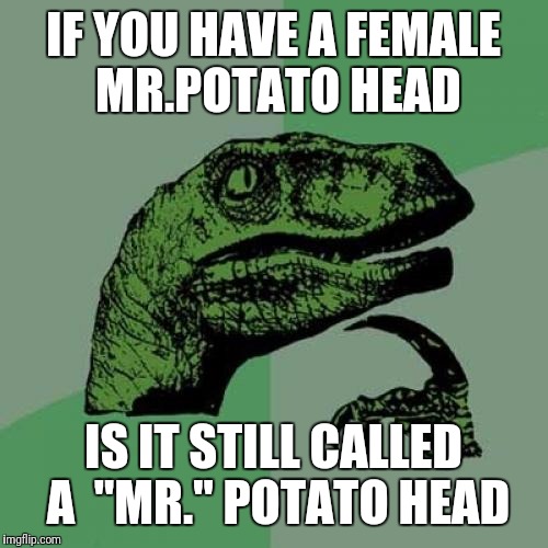 Philosoraptor | IF YOU HAVE A FEMALE MR.POTATO HEAD; IS IT STILL CALLED A  "MR." POTATO HEAD | image tagged in memes,philosoraptor | made w/ Imgflip meme maker