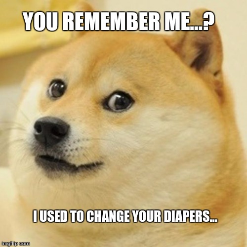 Doge Meme | YOU REMEMBER ME...? I USED TO CHANGE YOUR DIAPERS... | image tagged in memes,doge | made w/ Imgflip meme maker