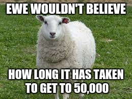 Ewe | EWE WOULDN'T BELIEVE; HOW LONG IT HAS TAKEN TO GET TO 50,000 | image tagged in ewe | made w/ Imgflip meme maker