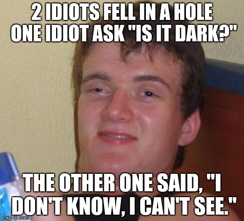10 Guy |  2 IDIOTS FELL IN A HOLE ONE IDIOT ASK "IS IT DARK?"; THE OTHER ONE SAID, "I DON'T KNOW, I CAN'T SEE." | image tagged in memes,10 guy | made w/ Imgflip meme maker