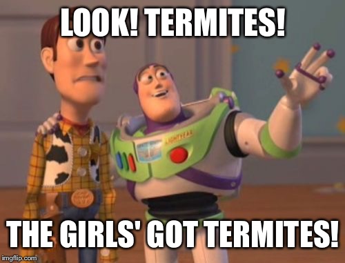 X, X Everywhere Meme | LOOK! TERMITES! THE GIRLS' GOT TERMITES! | image tagged in memes,x x everywhere | made w/ Imgflip meme maker