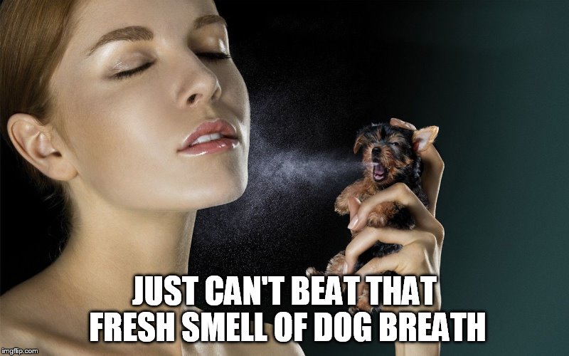Perfume | JUST CAN'T BEAT THAT FRESH SMELL OF DOG BREATH | image tagged in perfume,funny memes,meme | made w/ Imgflip meme maker