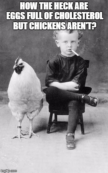 chicken and boy smoking | HOW THE HECK ARE EGGS FULL OF CHOLESTEROL BUT CHICKENS AREN'T? | image tagged in chicken and boy smoking,eggs,cholesterol,funny,funny memes | made w/ Imgflip meme maker
