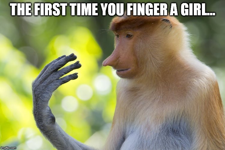 Fish Fingers | THE FIRST TIME YOU FINGER A GIRL... | image tagged in fish fingers,funny,rude,girlfriend | made w/ Imgflip meme maker