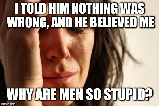 First World Problems Meme |  I TOLD HIM NOTHING WAS WRONG, AND HE BELIEVED ME; WHY ARE MEN SO STUPID? | image tagged in memes,first world problems | made w/ Imgflip meme maker