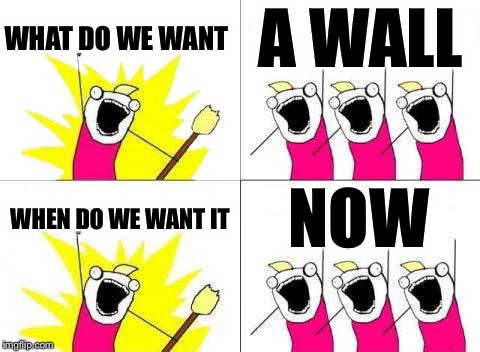 What Do We Want Meme | WHAT DO WE WANT; A WALL; WHEN DO WE WANT IT; NOW | image tagged in memes,what do we want | made w/ Imgflip meme maker