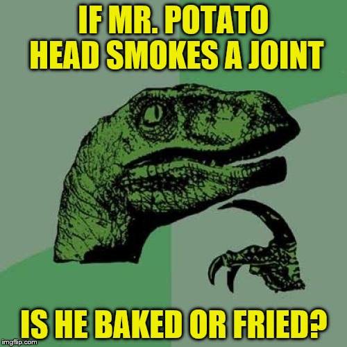 Philosoraptor | IF MR. POTATO HEAD SMOKES A JOINT; IS HE BAKED OR FRIED? | image tagged in memes,philosoraptor | made w/ Imgflip meme maker