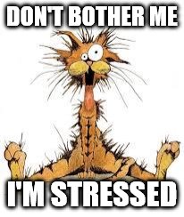Me Stressed? â€¦ Naaaaaaaa | DON'T BOTHER ME; I'M STRESSED | image tagged in me stressed  naaaaaaaa | made w/ Imgflip meme maker
