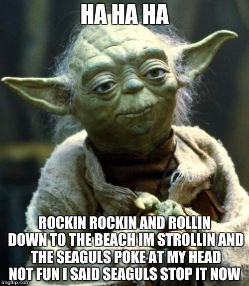 Star Wars Yoda | HA HA HA; ROCKIN ROCKIN AND ROLLIN DOWN TO THE BEACH IM STROLLIN AND THE SEAGULS POKE AT MY HEAD NOT FUN I SAID SEAGULS STOP IT NOW | image tagged in memes,star wars yoda | made w/ Imgflip meme maker
