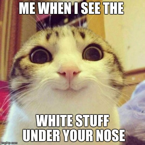 Smiling Cat Meme | ME WHEN I SEE THE; WHITE STUFF UNDER YOUR NOSE | image tagged in memes,smiling cat | made w/ Imgflip meme maker