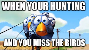 WHEN YOUR HUNTING; AND YOU MISS THE BIRDS | image tagged in hunting season | made w/ Imgflip meme maker