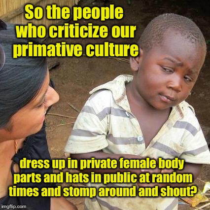 1st World Protesters | So the people who criticize our primative culture; dress up in private female body parts and hats in public at random times and stomp around and shout? | image tagged in memes,third world skeptical kid,feminazi,female body costume,pink hat,protesters | made w/ Imgflip meme maker