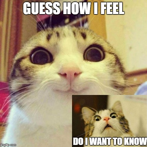 Smiling Cat Meme | GUESS HOW I FEEL; DO I WANT TO KNOW | image tagged in memes,smiling cat | made w/ Imgflip meme maker