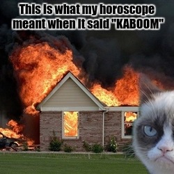 Kitty had 9 lives . . . | This is what my horoscope meant when it said "KABOOM" | image tagged in disaster grumpy cat | made w/ Imgflip meme maker