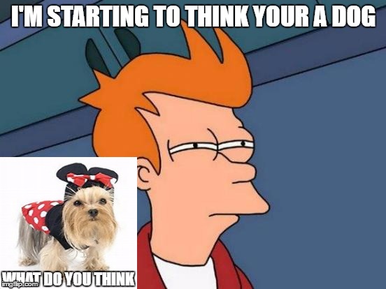 confused | I'M STARTING TO THINK YOUR A DOG; WHAT DO YOU THINK | image tagged in memes,futurama fry | made w/ Imgflip meme maker