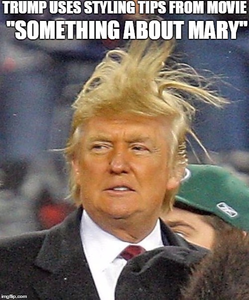 Donald Trumph hair | TRUMP USES STYLING TIPS FROM MOVIE; "SOMETHING ABOUT MARY" | image tagged in donald trumph hair | made w/ Imgflip meme maker