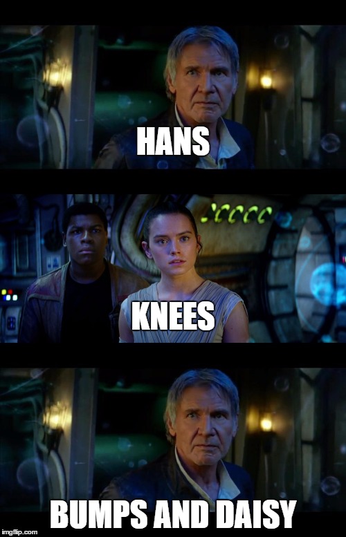 It's True All of It Han Solo | HANS; KNEES; BUMPS AND DAISY | image tagged in memes,it's true all of it han solo | made w/ Imgflip meme maker