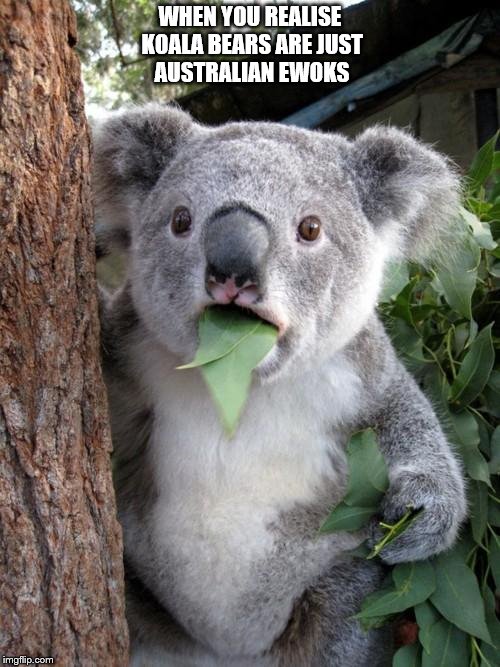 Surprised Koala Meme | WHEN YOU REALISE KOALA BEARS ARE JUST AUSTRALIAN EWOKS | image tagged in memes,surprised koala | made w/ Imgflip meme maker
