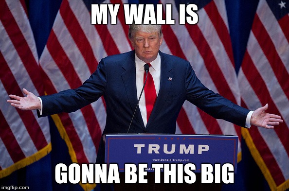 Donald Trump | MY WALL IS; GONNA BE THIS BIG | image tagged in donald trump | made w/ Imgflip meme maker