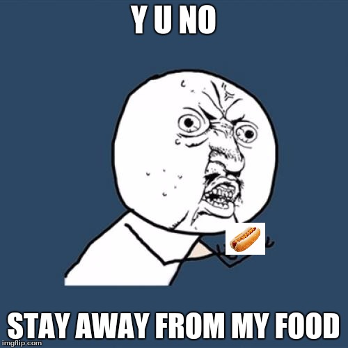 Y U No Meme | Y U NO STAY AWAY FROM MY FOOD | image tagged in memes,y u no | made w/ Imgflip meme maker