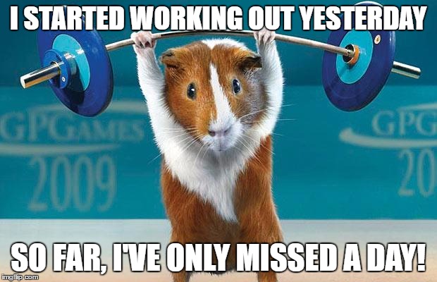 Happy Exercising, lazy | I STARTED WORKING OUT YESTERDAY; SO FAR, I'VE ONLY MISSED A DAY! | image tagged in funny exercise | made w/ Imgflip meme maker