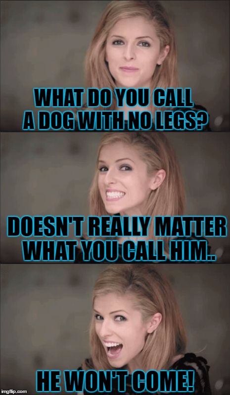 Presumably Funny Title | WHAT DO YOU CALL A DOG WITH NO LEGS? DOESN'T REALLY MATTER WHAT YOU CALL HIM.. HE WON'T COME! | image tagged in memes,bad pun anna kendrick,funny,dog,name,joke | made w/ Imgflip meme maker