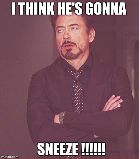 Face You Make Robert Downey Jr | I THINK HE'S GONNA; SNEEZE !!!!!! | image tagged in memes,face you make robert downey jr | made w/ Imgflip meme maker