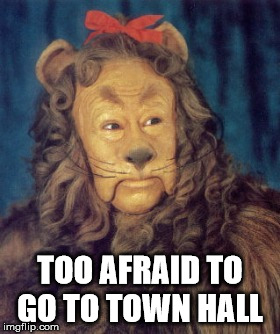 cowardly lion | TOO AFRAID TO GO TO TOWN HALL | image tagged in cowardly lion | made w/ Imgflip meme maker