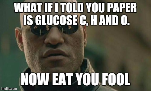 Matrix Morpheus | WHAT IF I TOLD YOU PAPER IS GLUCOSE C, H AND O. NOW EAT YOU FOOL | image tagged in memes,matrix morpheus | made w/ Imgflip meme maker