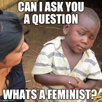 Third World Skeptical Kid Meme | CAN I ASK YOU A QUESTION; WHATS A FEMINIST? | image tagged in memes,third world skeptical kid | made w/ Imgflip meme maker
