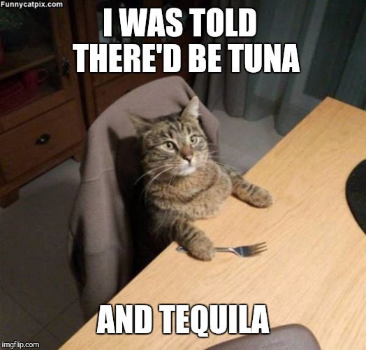 I WAS TOLD  THERE'D BE TUNA AND TEQUILA | made w/ Imgflip meme maker