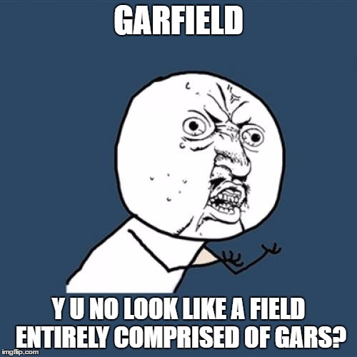Y U No Meme | GARFIELD; Y U NO LOOK LIKE A FIELD ENTIRELY COMPRISED OF GARS? | image tagged in memes,y u no | made w/ Imgflip meme maker