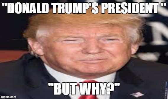 BUT  WHY | ''DONALD TRUMP'S PRESIDENT ''; ''BUT WHY?'' | image tagged in but why tho | made w/ Imgflip meme maker