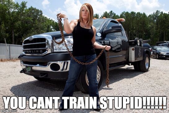 YOU CANT TRAIN STUPID!!!!!! | image tagged in memes | made w/ Imgflip meme maker