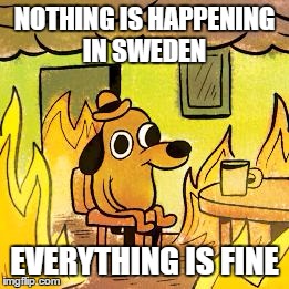 Dog in burning house | NOTHING IS HAPPENING IN SWEDEN; EVERYTHING IS FINE | image tagged in dog in burning house | made w/ Imgflip meme maker