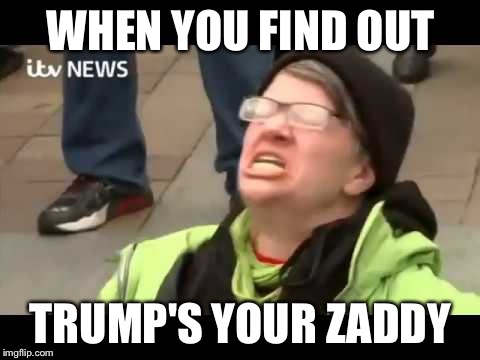 Liberal protestor | WHEN YOU FIND OUT; TRUMP'S YOUR ZADDY | image tagged in liberal protestor | made w/ Imgflip meme maker