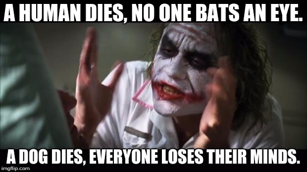 I'm an animal lover too but come on people. | A HUMAN DIES, NO ONE BATS AN EYE. A DOG DIES, EVERYONE LOSES THEIR MINDS. | image tagged in memes,and everybody loses their minds | made w/ Imgflip meme maker