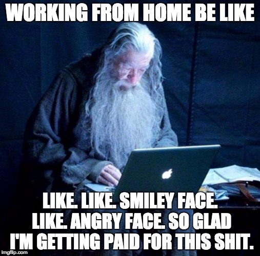 Gandalf looking Facebook | WORKING FROM HOME BE LIKE; LIKE. LIKE. SMILEY FACE. LIKE. ANGRY FACE.
SO GLAD I'M GETTING PAID FOR THIS SHIT. | image tagged in gandalf looking facebook | made w/ Imgflip meme maker