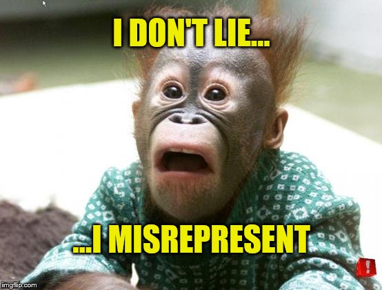 I don't lie, I misrepresent | I DON'T LIE... ...I MISREPRESENT | image tagged in lie,misrepresent,funny memes,memes,surprised monkey | made w/ Imgflip meme maker