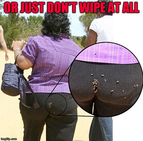 OR JUST DON'T WIPE AT ALL | made w/ Imgflip meme maker