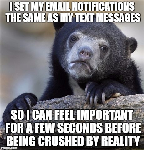 Confession Bear Meme | I SET MY EMAIL NOTIFICATIONS THE SAME AS MY TEXT MESSAGES; SO I CAN FEEL IMPORTANT FOR A FEW SECONDS BEFORE BEING CRUSHED BY REALITY | image tagged in memes,confession bear | made w/ Imgflip meme maker