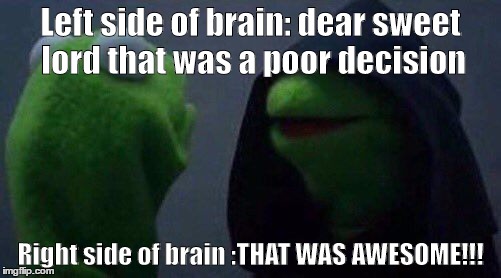kermit me to me | Left side of brain: dear sweet lord that was a poor decision; Right side of brain :THAT WAS AWESOME!!! | image tagged in kermit me to me | made w/ Imgflip meme maker