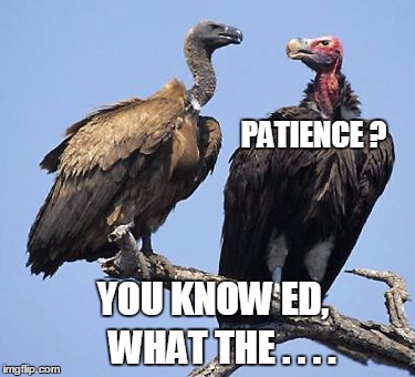 PATIENCE ? YOU KNOW ED, WHAT THE . . . . | image tagged in vultures,vulture culture,buzzard,patience,impatience | made w/ Imgflip meme maker