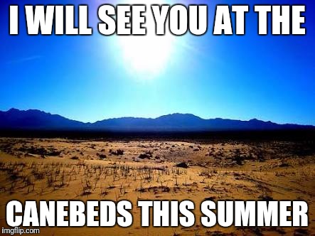 Desert sun | I WILL SEE YOU AT THE; CANEBEDS THIS SUMMER | image tagged in desert sun | made w/ Imgflip meme maker