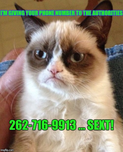 Grumpy Cat Meme | I'M GIVING YOUR PHONE NUMBER TO THE AUTHORITIES 262-716-9913 ... SEXT! | image tagged in memes,grumpy cat | made w/ Imgflip meme maker