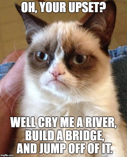 Grumpy Cat Meme | OH, YOUR UPSET? WELL CRY ME A RIVER, BUILD A BRIDGE, AND JUMP OFF OF IT. | image tagged in memes,grumpy cat | made w/ Imgflip meme maker