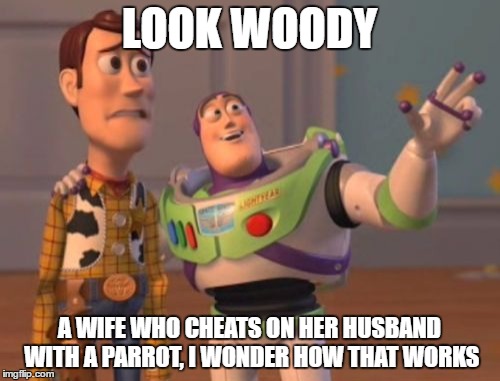 X, X Everywhere Meme | LOOK WOODY A WIFE WHO CHEATS ON HER HUSBAND WITH A PARROT, I WONDER HOW THAT WORKS | image tagged in memes,x x everywhere | made w/ Imgflip meme maker