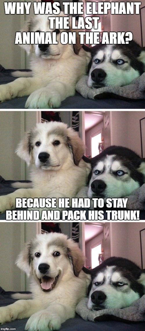 Bad pun dogs | WHY WAS THE ELEPHANT THE LAST ANIMAL ON THE ARK? BECAUSE HE HAD TO STAY BEHIND AND PACK HIS TRUNK! | image tagged in bad pun dogs | made w/ Imgflip meme maker