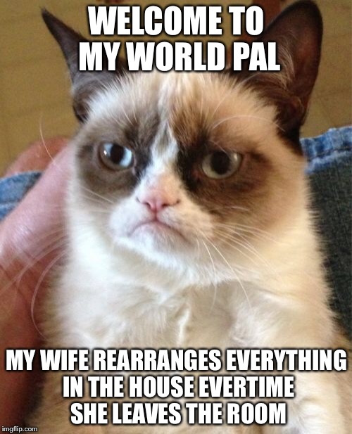 Grumpy Cat Meme | WELCOME TO MY WORLD PAL MY WIFE REARRANGES EVERYTHING IN THE HOUSE EVERTIME SHE LEAVES THE ROOM | image tagged in memes,grumpy cat | made w/ Imgflip meme maker